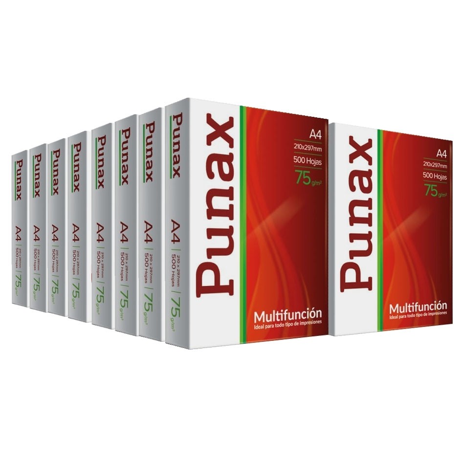 PUNAX RESMA A4 500u (10)