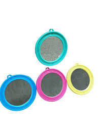 Miss Espejo N°1 EDUCAR (12)