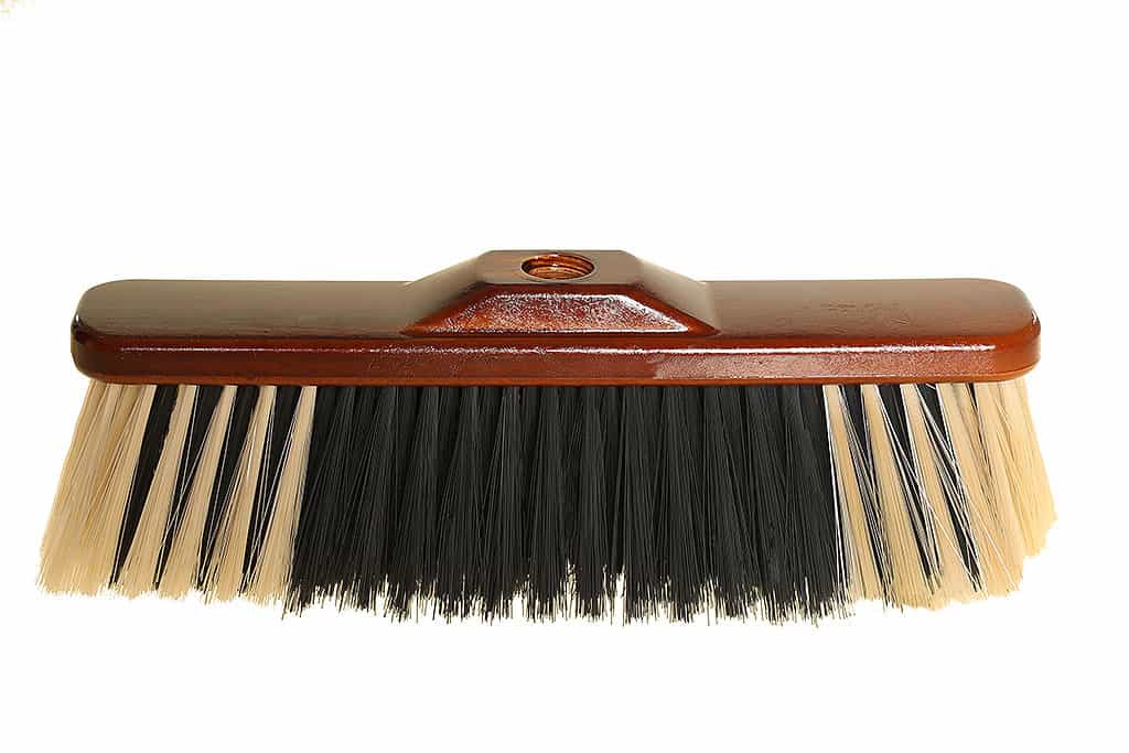 ESCO. Cariño PrincipeMax x6 (12)