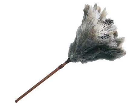 Plumero Gari Patagonia Grande Nº1