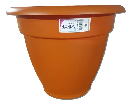 FL Maceta Etrusca N°35 (20)