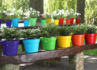 Beru Maceta Porta Facetado 10