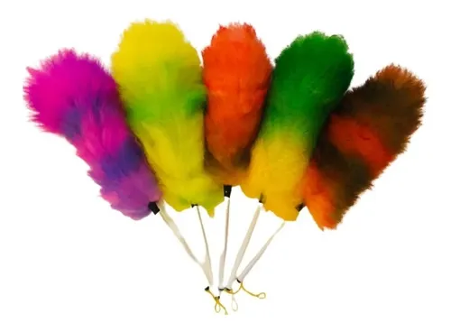 Plumero Gari de Lana Grande