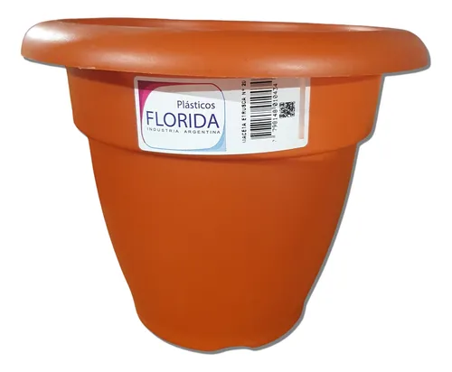 FL Maceta Etrusca N°20 (50)