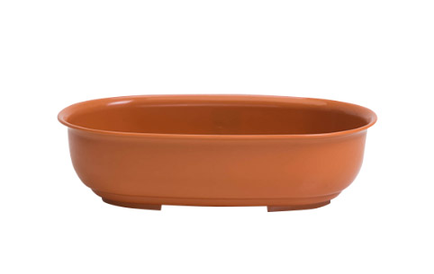 Beru Maceta Bonsai Ovalado 1