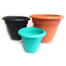 FL Maceta Etrusca N°24 (30)