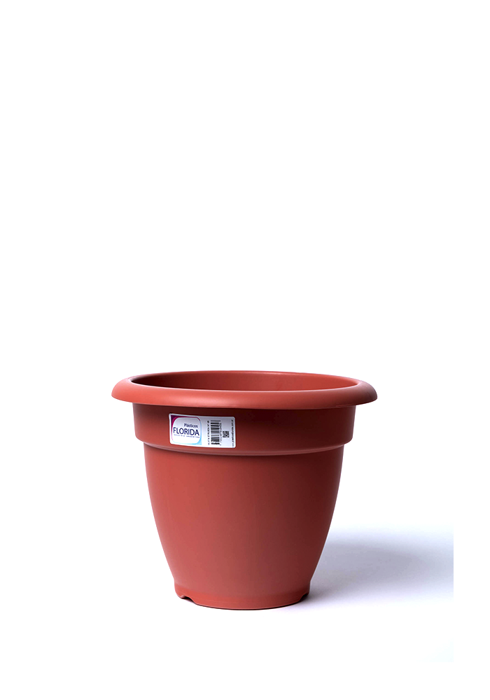 FL Maceta Etrusca N°28 (25)