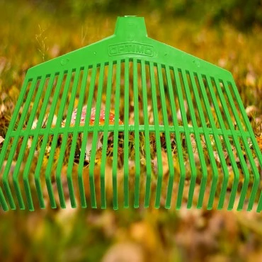 MODO Barrehoja Clasico (12)