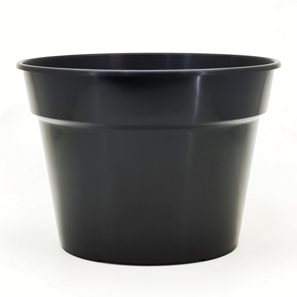 Beru Maceta Clasica N°11