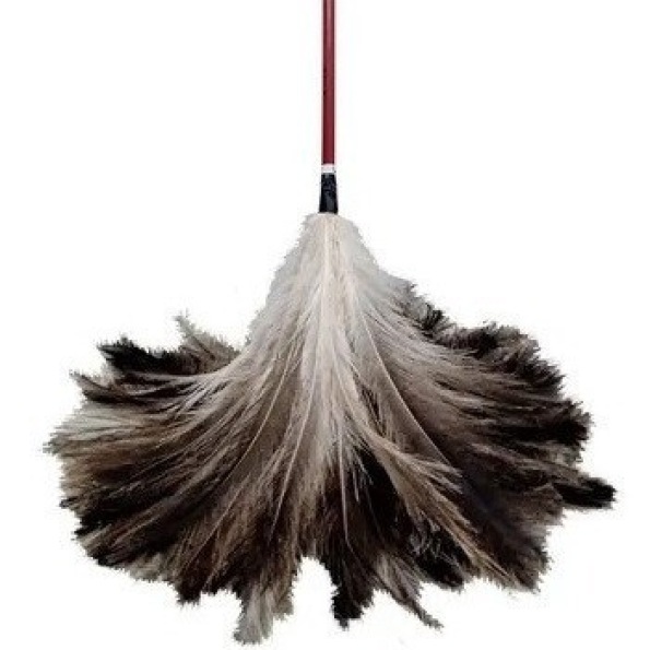 Plumero Gari Patagonia N°22