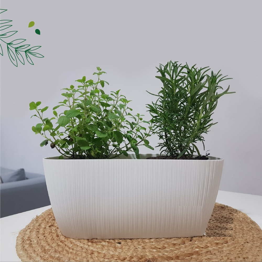 GEM. Maceta Mesola 32 Aero