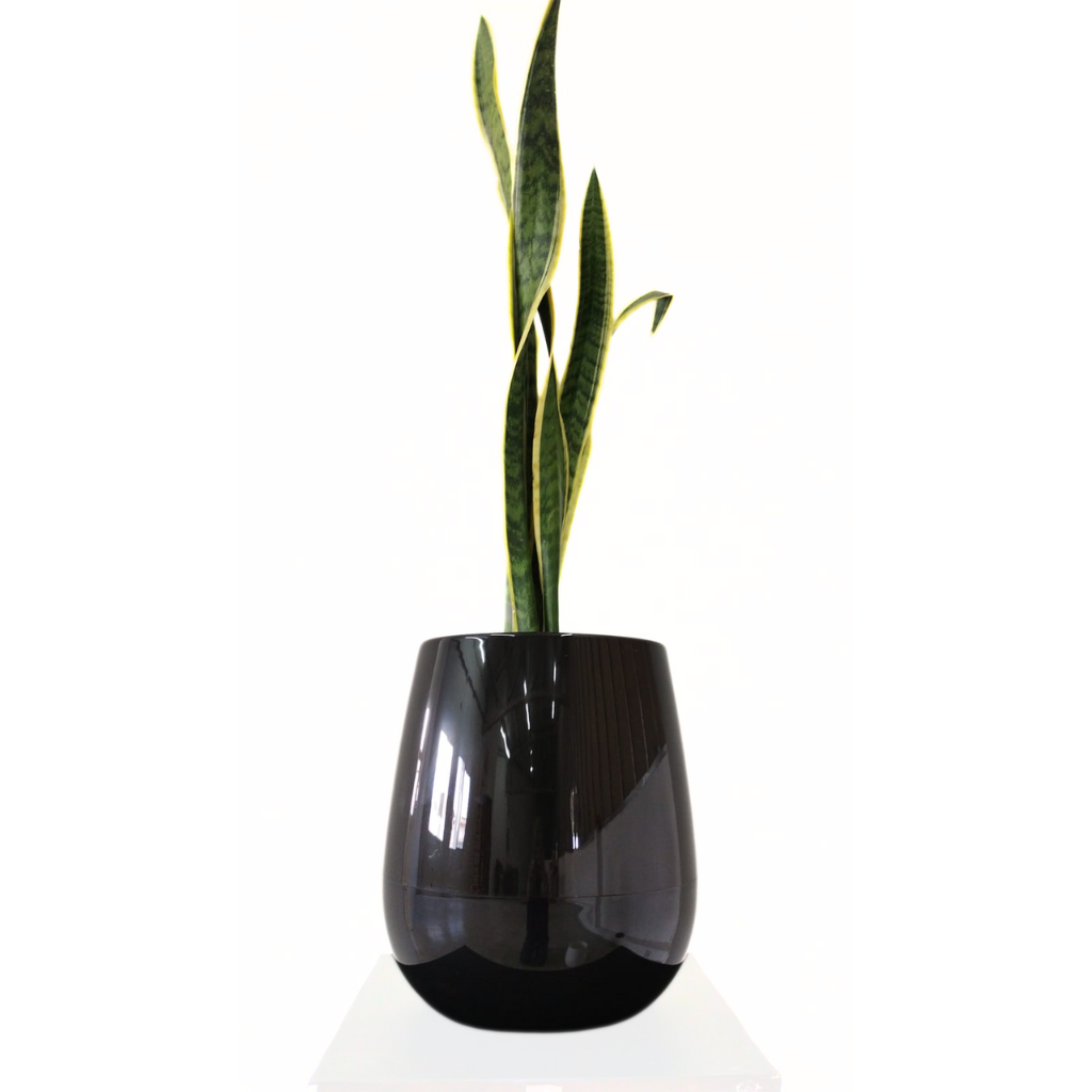 Beru Maceta UOVO Grande