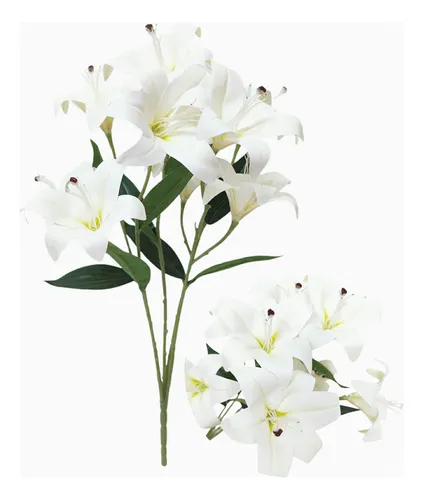 ENCA. Lilium 55cm EA99-19-11