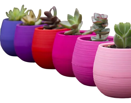 Beru Maceta Autorriego N°4