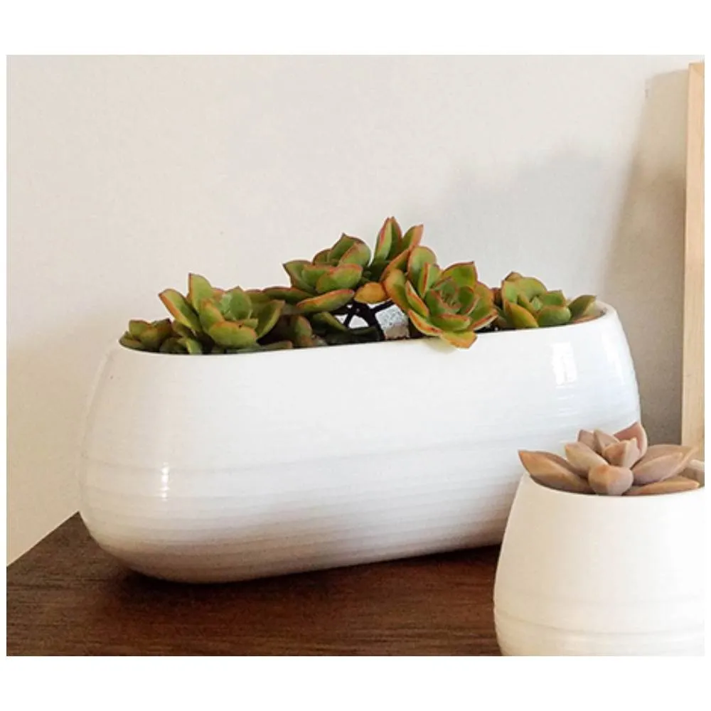 Beru Maceta Deco Jardinera N°20